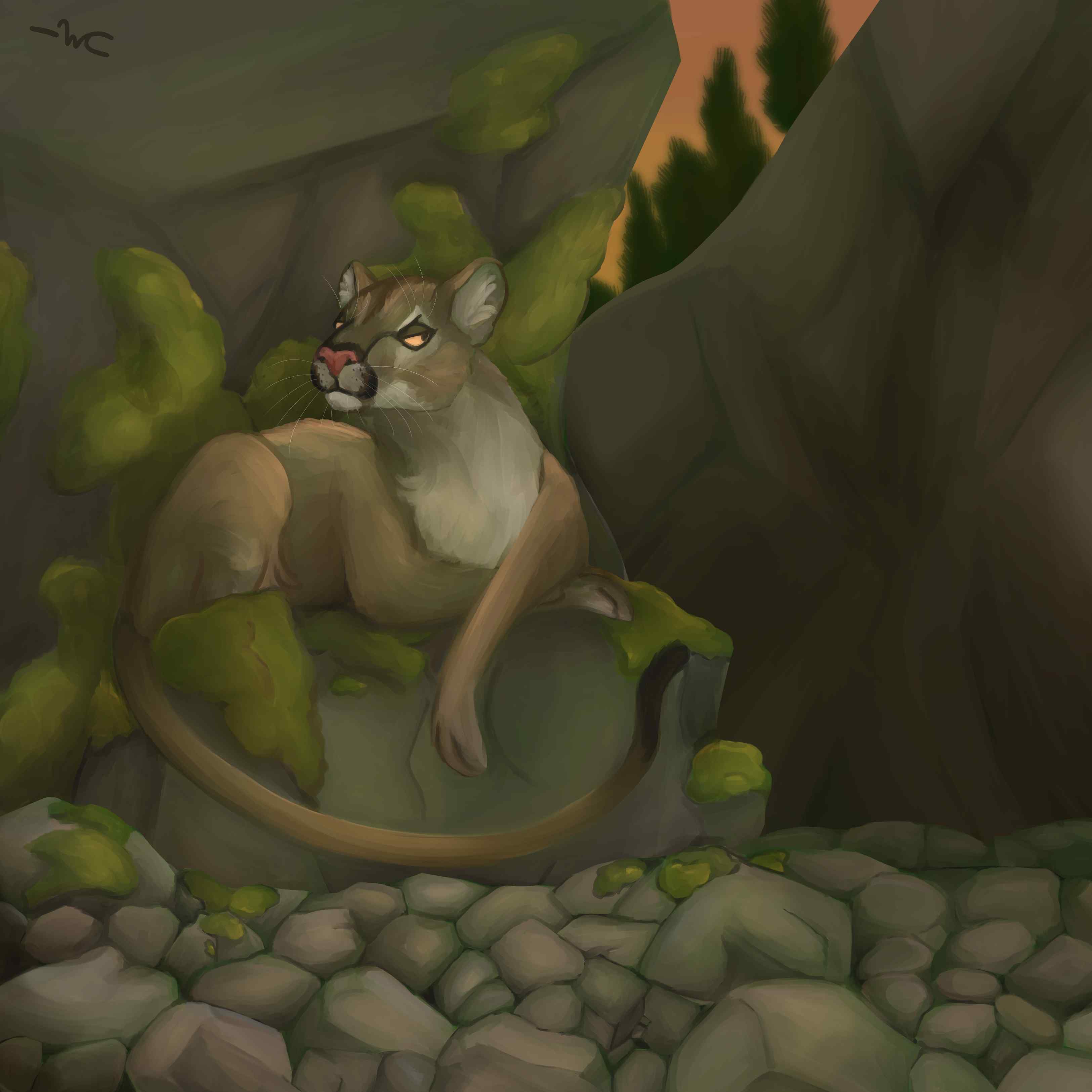 A digital painting of a cougar sitting on a mossy rock, among a large amount of rocks. It's looking suspicious. 